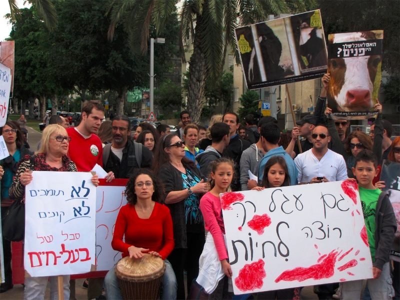 הפגנת נגד תנובה 10-12-12