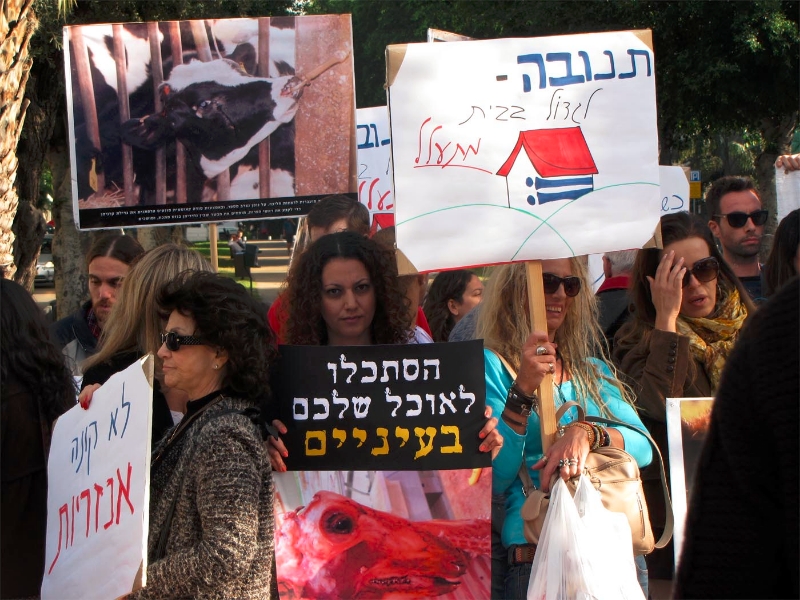 הפגנת נגד תנובה 10-12-12