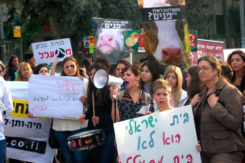 הפגנת נגד תנובה 10-12-12
