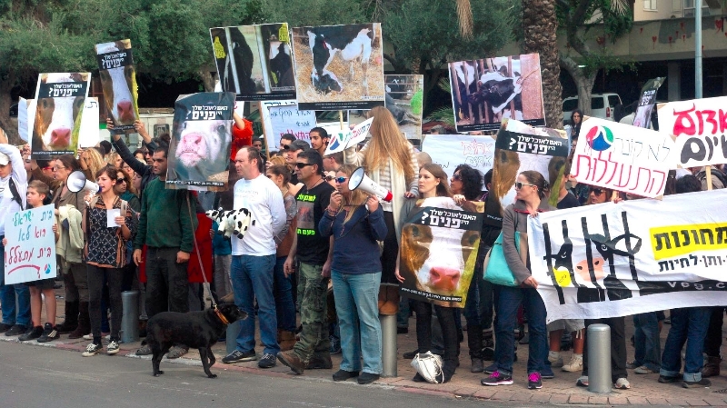הפגנת נגד תנובה 10-12-12