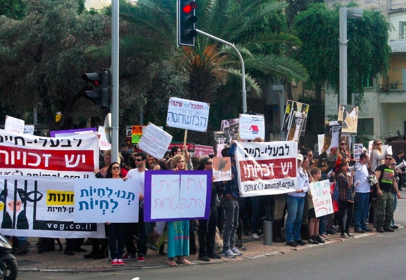 הפגנת נגד תנובה 10-12-12