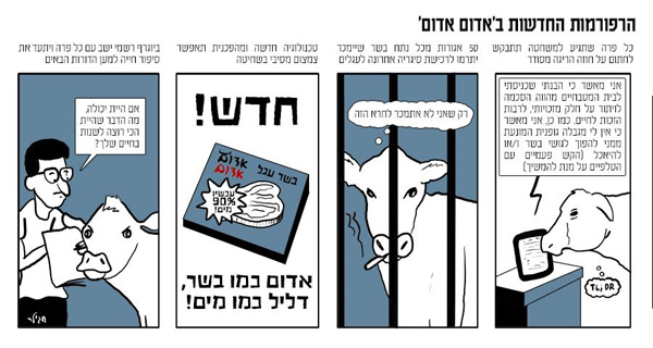 הרפורמות החדשות באדום אדום - חגילר