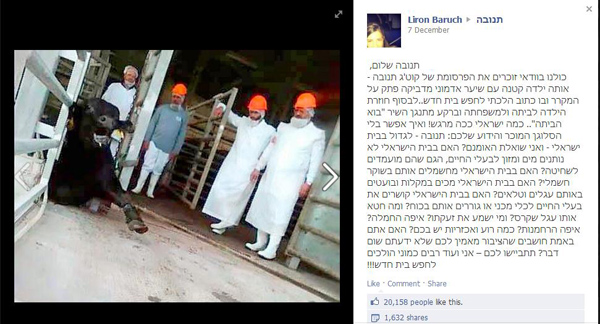 לירון ברוך צירפה תמונה עם כיתוב מרגש על הקיר של תנובה
